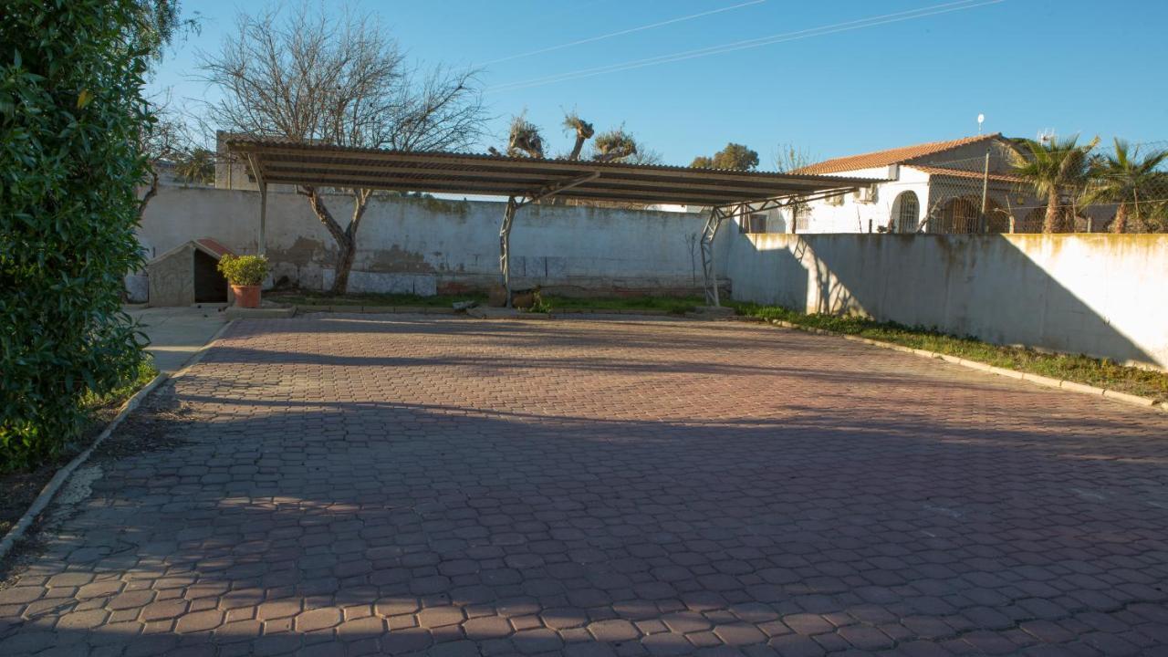 Estudio Adosado Con Jardin Y Parking Privado Alicante Bagian luar foto