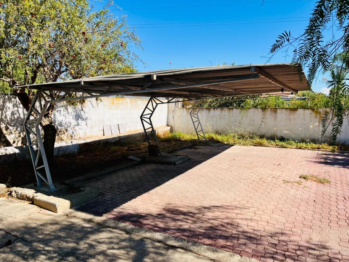 Estudio Adosado Con Jardin Y Parking Privado Alicante Bagian luar foto