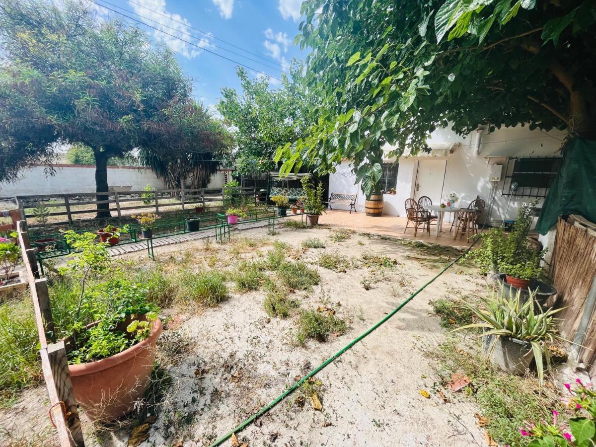 Estudio Adosado Con Jardin Y Parking Privado Alicante Bagian luar foto