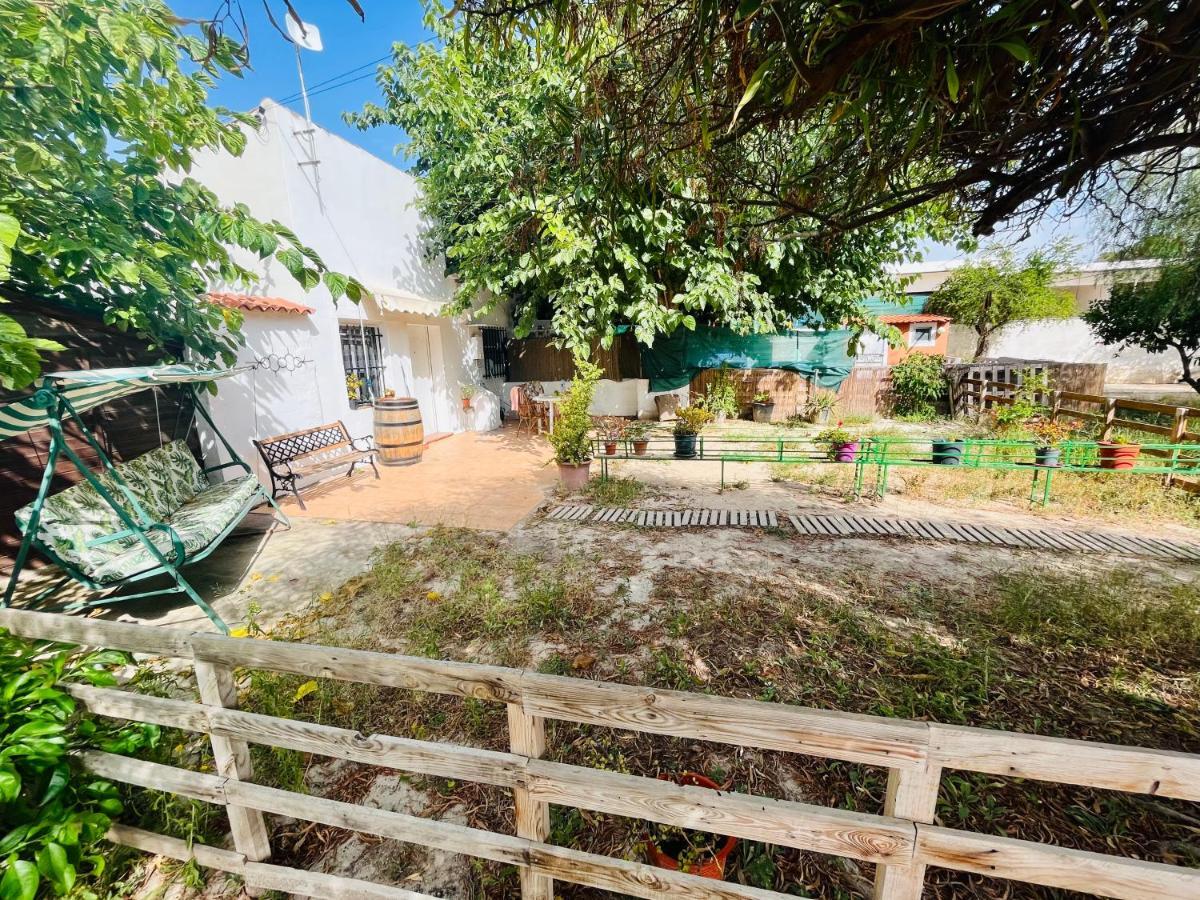 Estudio Adosado Con Jardin Y Parking Privado Alicante Bagian luar foto